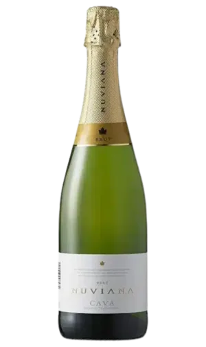 Putojantis vynas "Nuviana Brut Cava D.O."