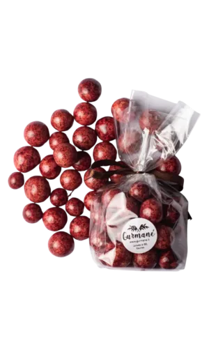 Liofilizuoti juodieji serbentai jogurtiniame šokolade 100g