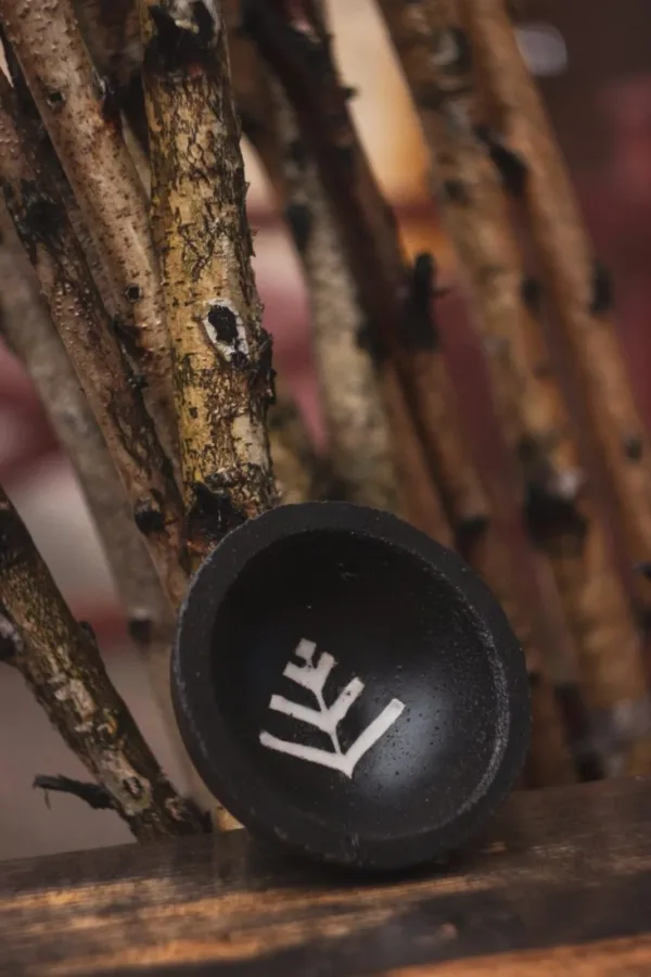 IMG_7949.jpeg IMG_7949.jpeg