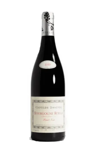 Raudonas vynas Clotilde Davenne Bourgogne Rouge